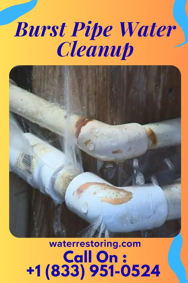 Burst Pipe Water Cleanup in Rochester, NH