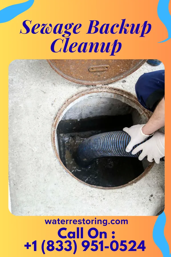 Sewage Backup Cleanup in Rochester, NH